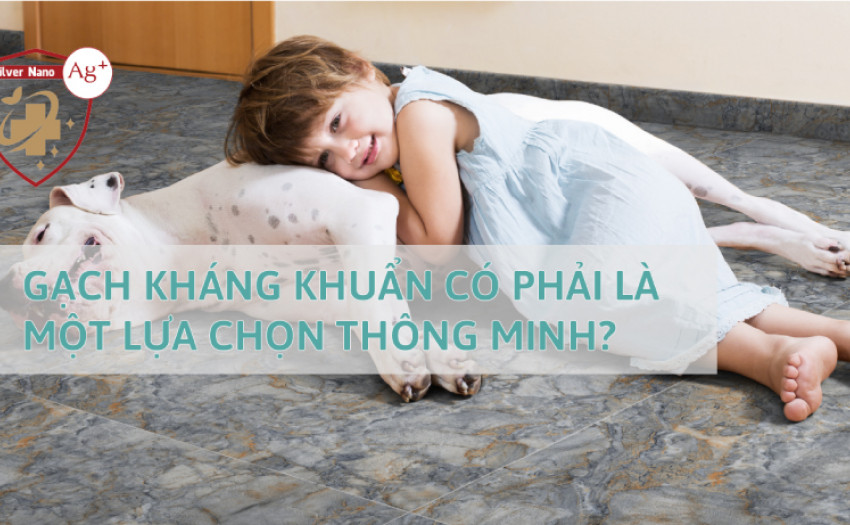 Gạch kháng khuẩn có phải là một lựa chọn thông minh?